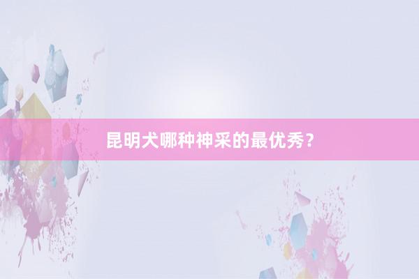 昆明犬哪种神采的最优秀？